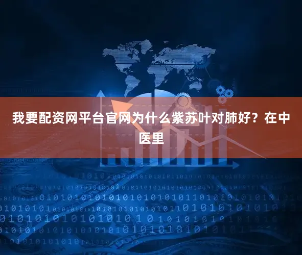 我要配资网平台官网为什么紫苏叶对肺好？在中医里